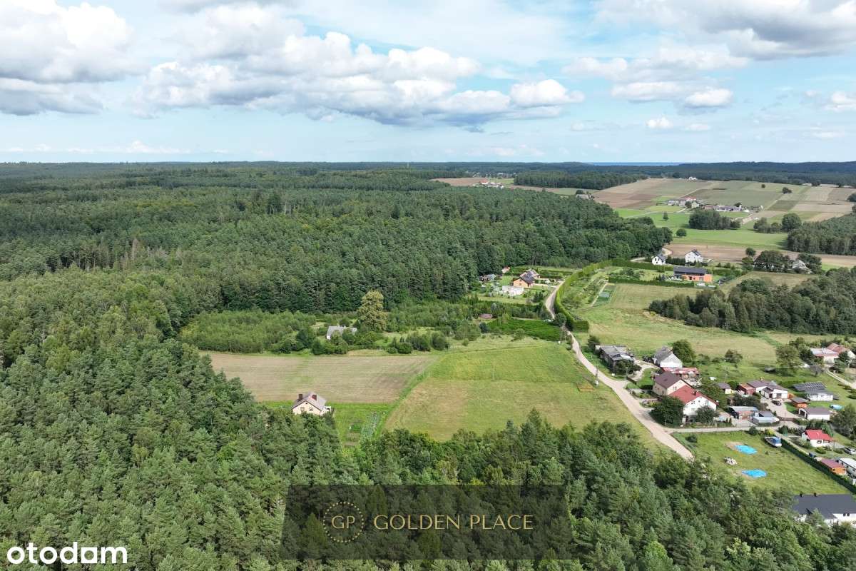 Ostatnia działka - Pełny obrazek: 2/20