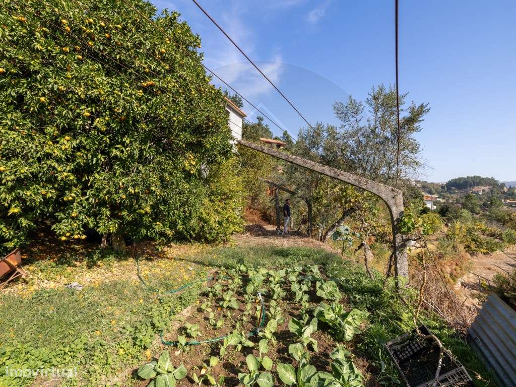 Propriedade com Vista Panorâmica para o Douro Moradia e Terreno com...-53