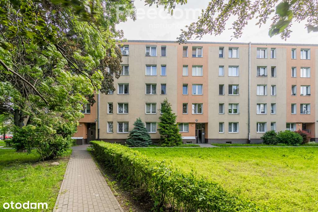 Dwupokojowe mieszkanie w świetnej lokalizacji - Pełny obrazek: 3/12