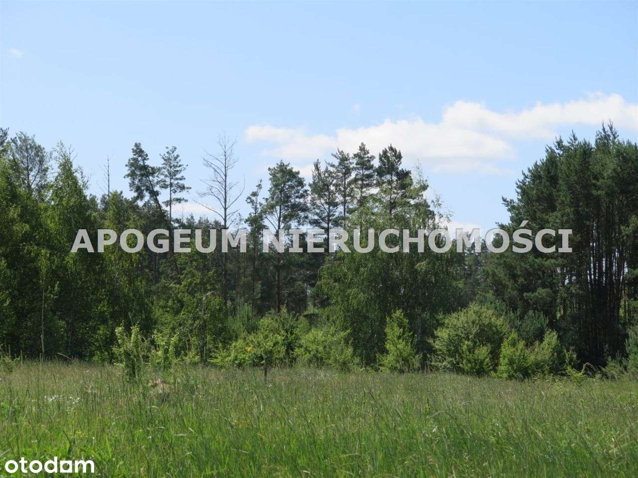 Działka budowlana w Kurianach - z mpzp-6