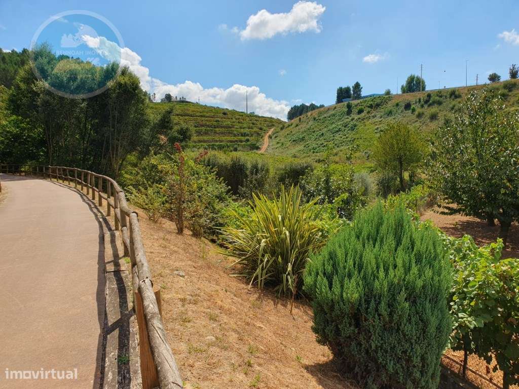 Quintinha à venda- Arco de Baúlhe-5