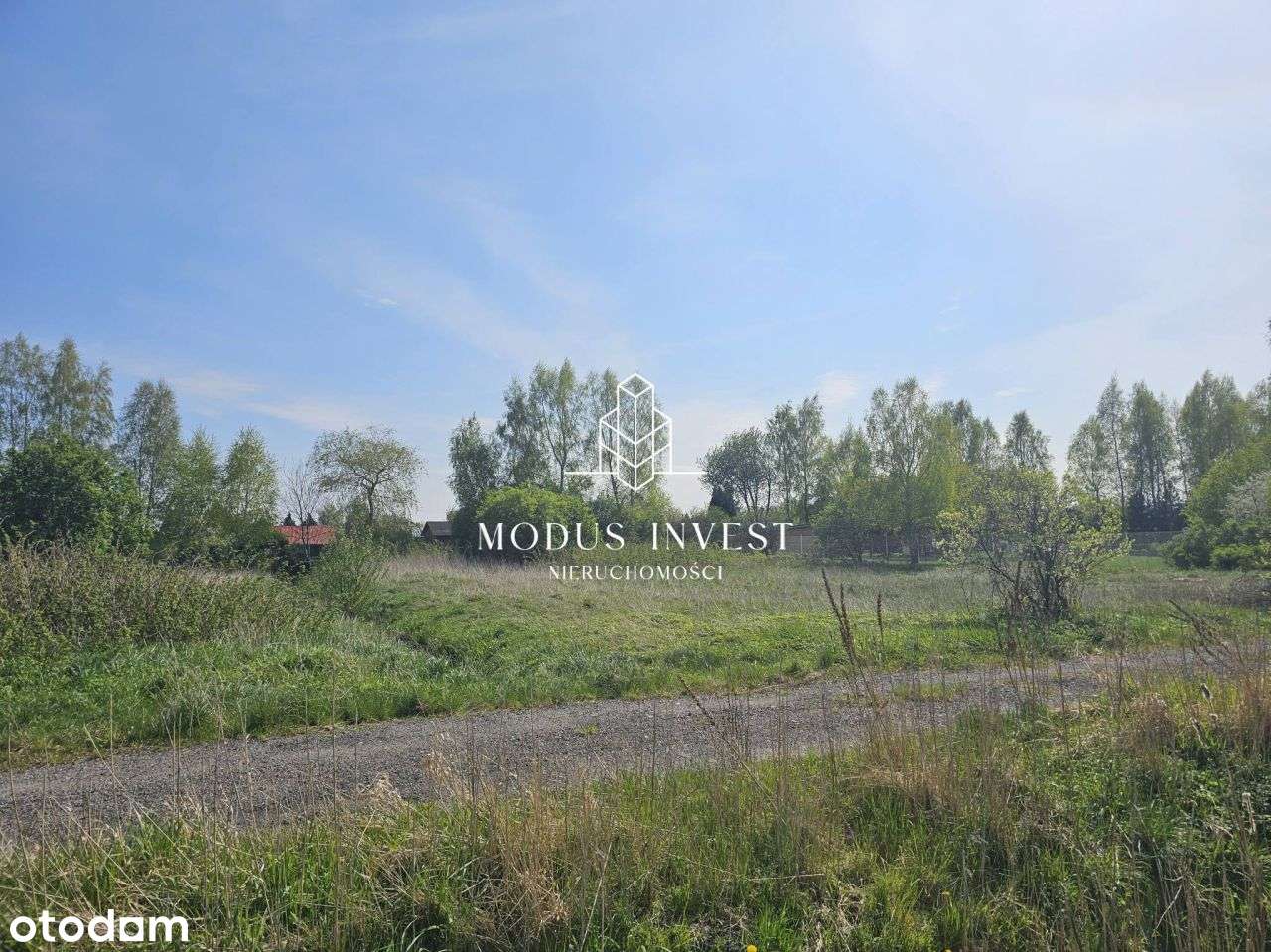 Działka produkcyjno-usługowa w Rumi - Pełny obrazek: 3/7