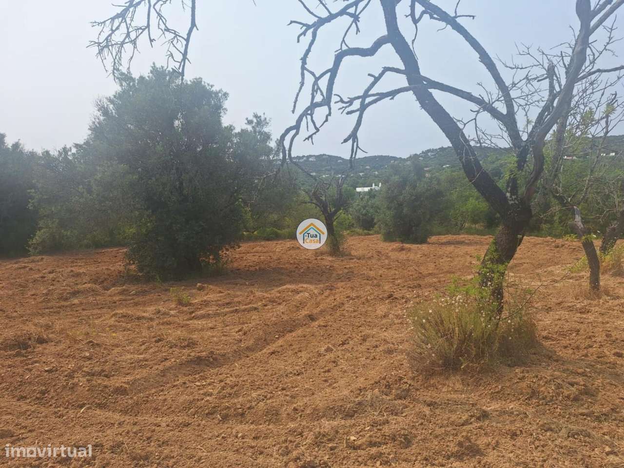 Terreno Rústico em Bordeira no concelho de Faro - Grande imagem: 3/20