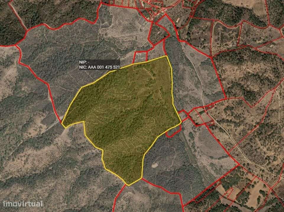 Herdade 4.0 ha, Colos, Odemira - Grande imagem: 5/5