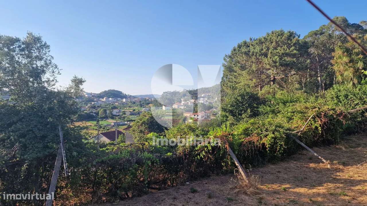 Terreno - potencial de investimento - Astromil - Paredes-17