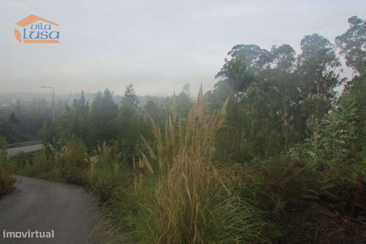 Terreno florestal , Pedroso com 3.682 m2 fáceis acessos - Grande imagem: 5/7
