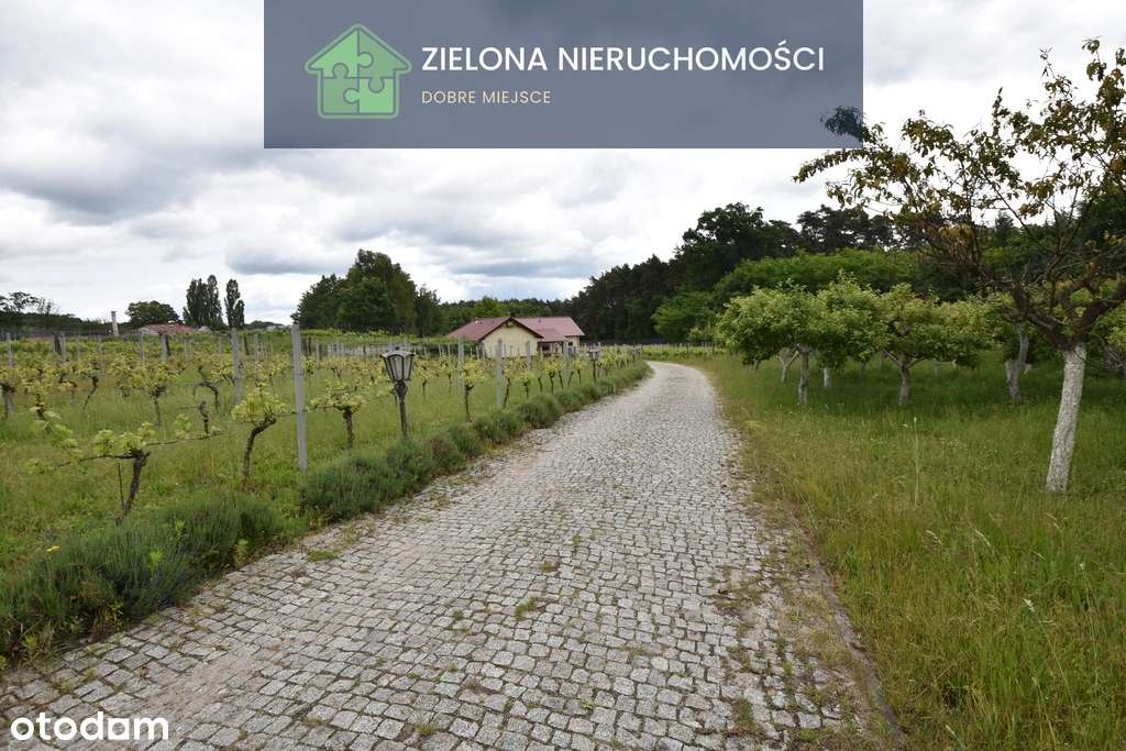 Posiadłość z winnicą w Zielonej Górze-4