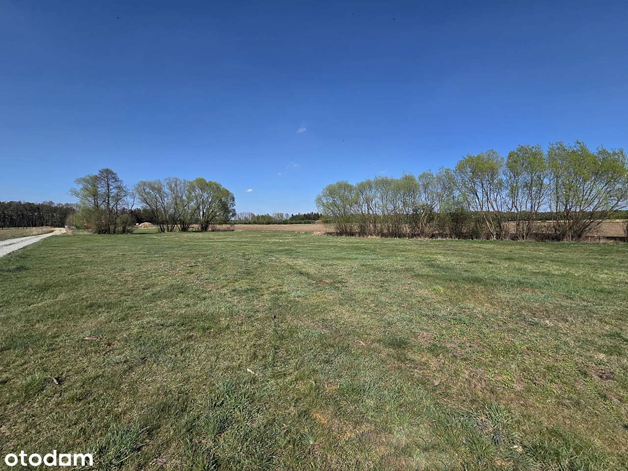 W sądziedztwie Jeziora Przedwieśnia - Pełny obrazek: 4/13