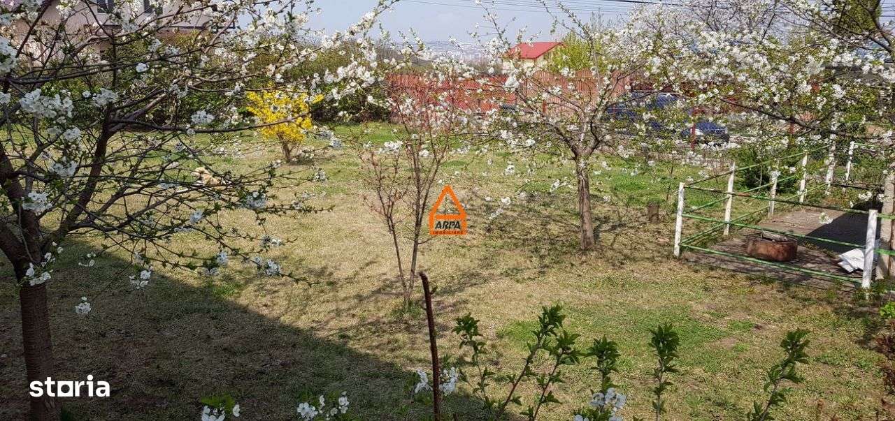 Casa / Vila - 310 mp , 1000 mp teren - Bucium - Imagine principală: 2/11