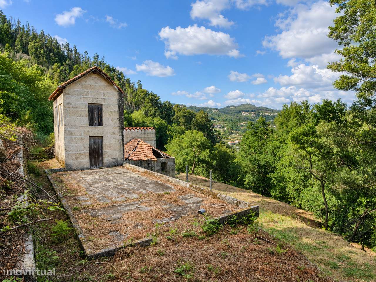 QUINTA NO VALE DO DOURO - 2 CASAS EM PEDRA, 11 HECTARES DE TERRENO-9