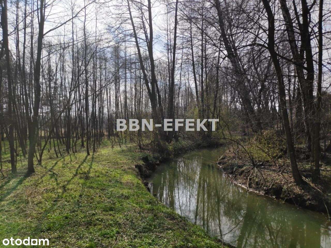 Działka, 1 401 m², Dankowice - Pełny obrazek: 4/6