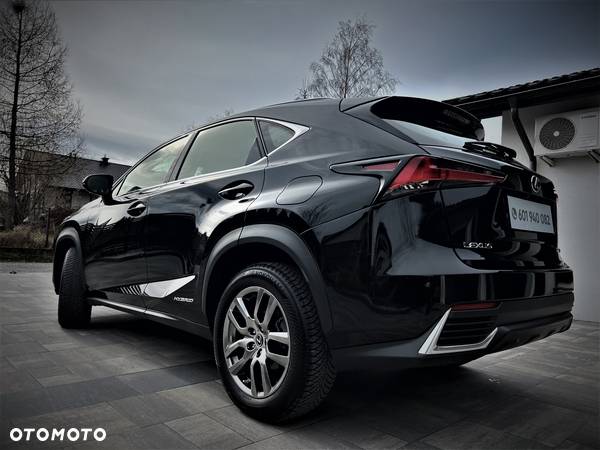 Lexus NX - 14