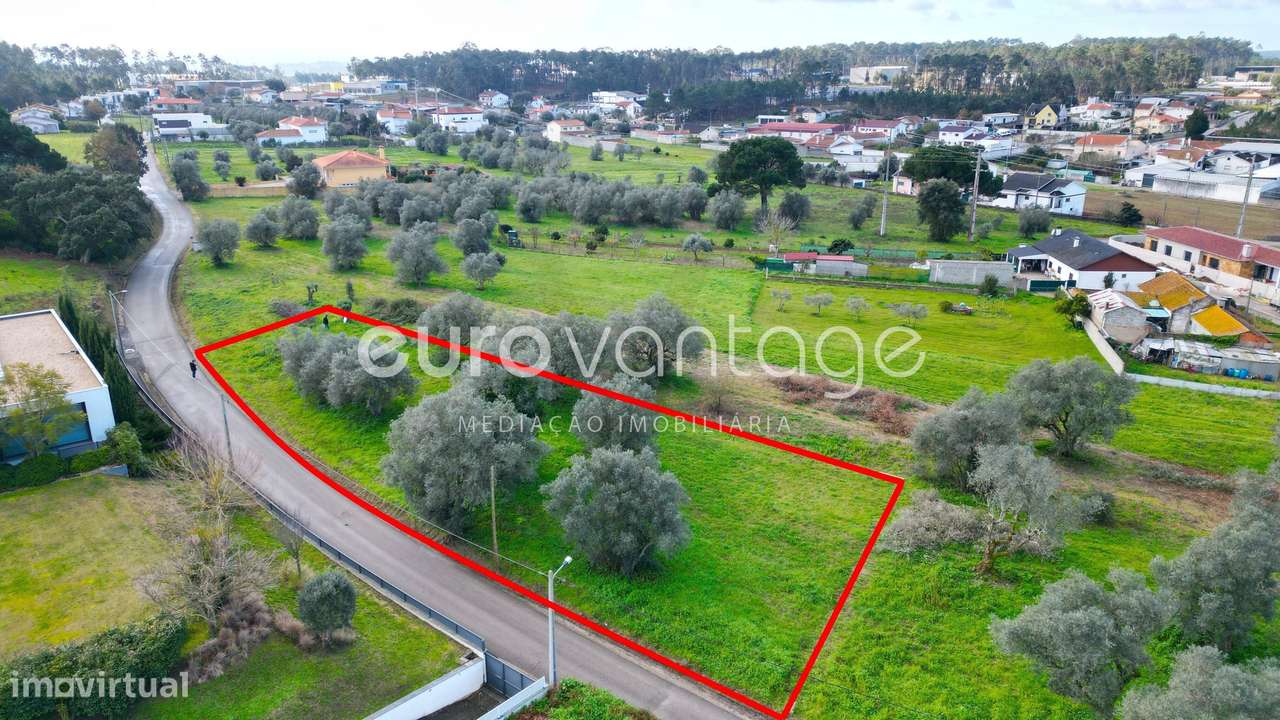 Terreno para construção - Ortigosa-4
