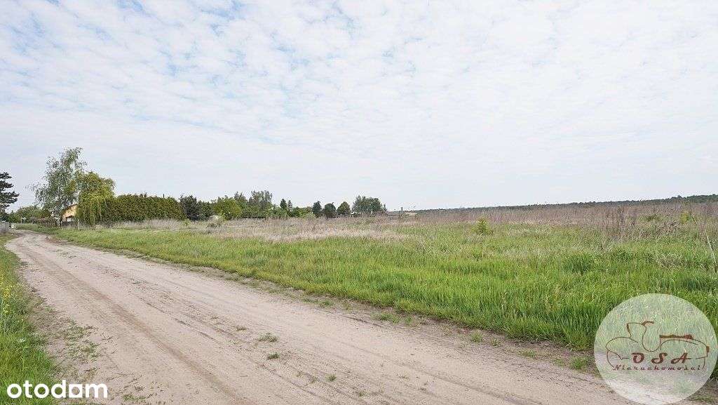 Mpzp usługi-produkcja-magazyny Dębienko Stęszew-6