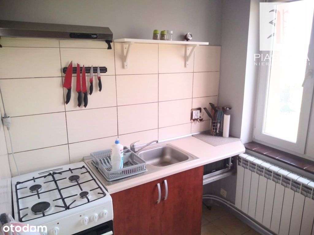 2 pokoje, niski czynsz, I p. z piwnicą i ogródkiem - Pełny obrazek: 5/17