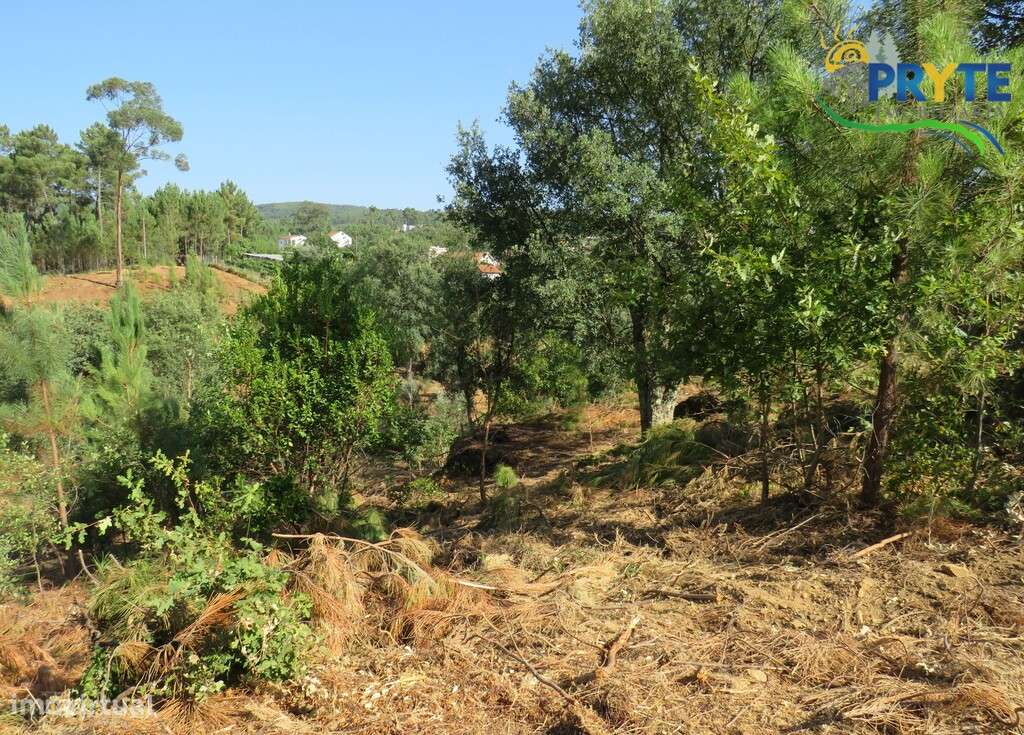 Moradia de tipologia T3 próxima da Vila da Sertã - Grande imagem: 5/60