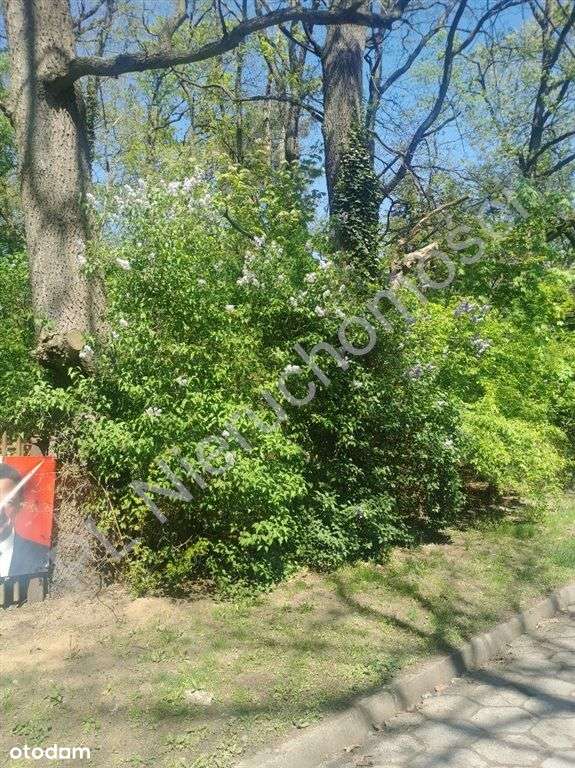 Unikalna działka w centrum Milanówka ! - Pełny obrazek: 4/7