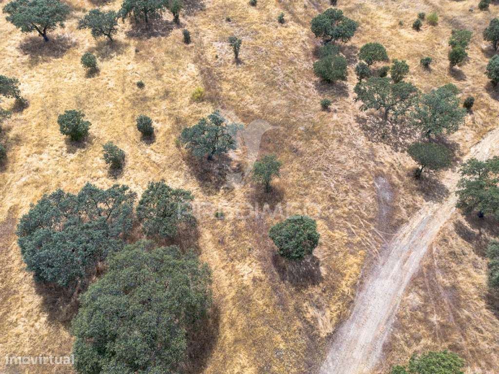 Terreno Rústico de 9,975 Hectares à venda, Capelins - Grande imagem: 3/16