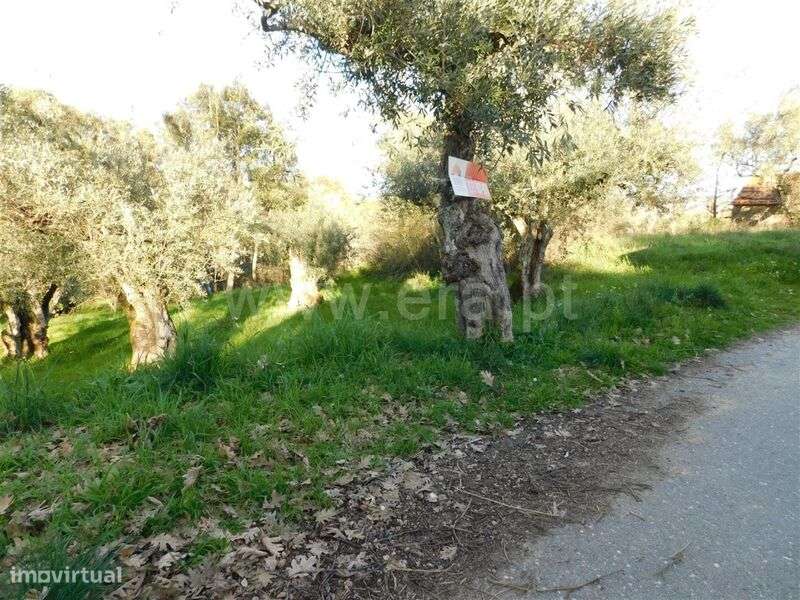 Terreno / Fundão, Telhado - Grande imagem: 4/5
