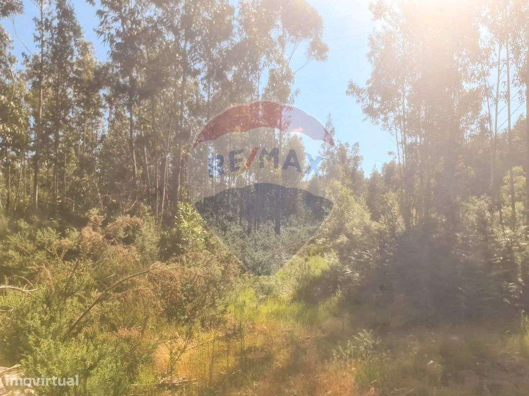 Terreno  para venda - Grande imagem: 3/6