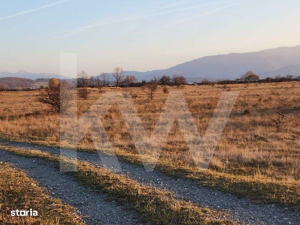 Oportunitate investitie | De vanzare, 3 parcele de 560 mp. - Imagine principală: 1/5