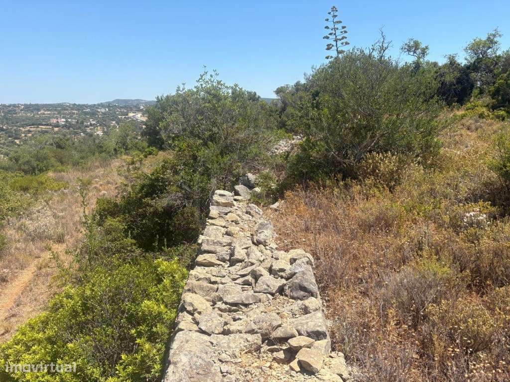 Terreno Rústico com 1.900m2, Loulé, Algarve - Grande imagem: 3/18