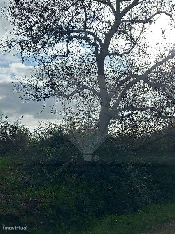 Terreno  para venda - Grande imagem: 4/8