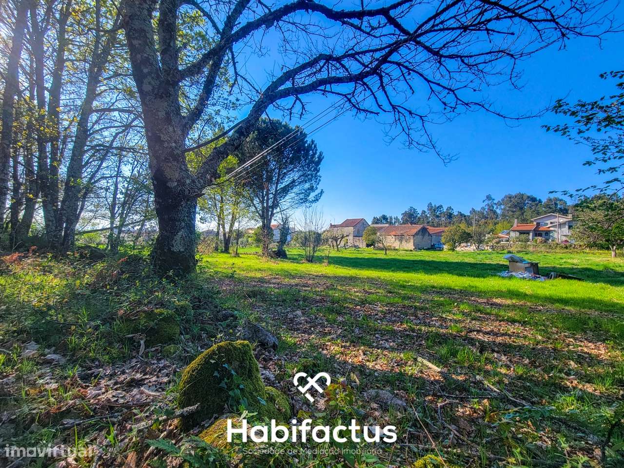 Moradia Isolada T3, para reconstrução com terraço e terreno de 1.828 m-6