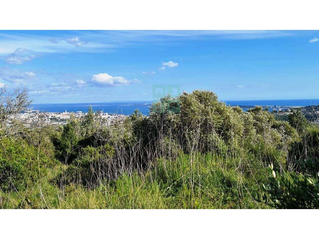 Quinta com 435.487 m2 na Serra da Arrábida, em Palmela, Setúbal-18