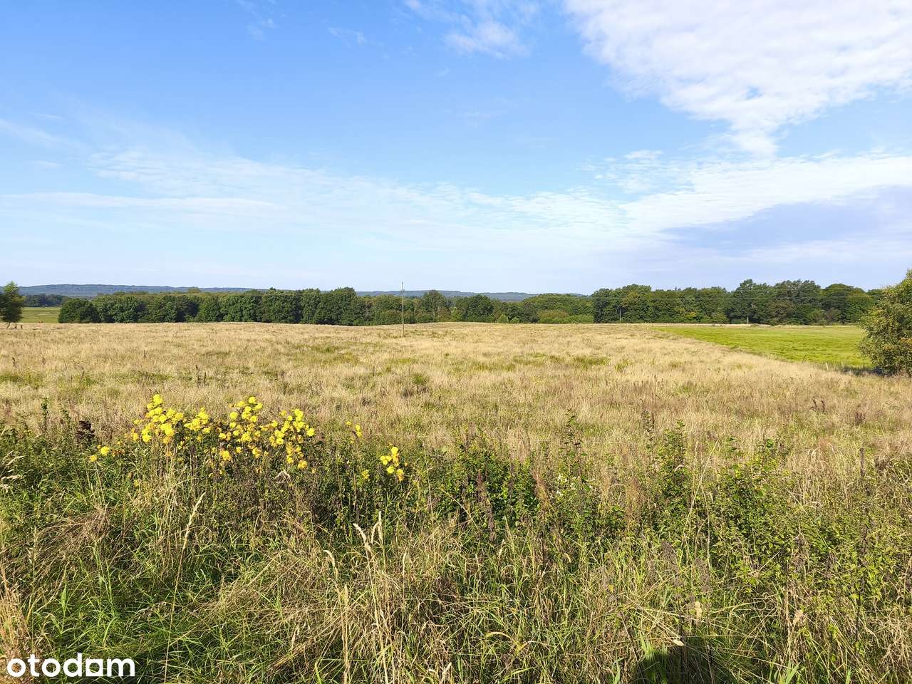 Z dala od spojrzeń sąsiadów-7