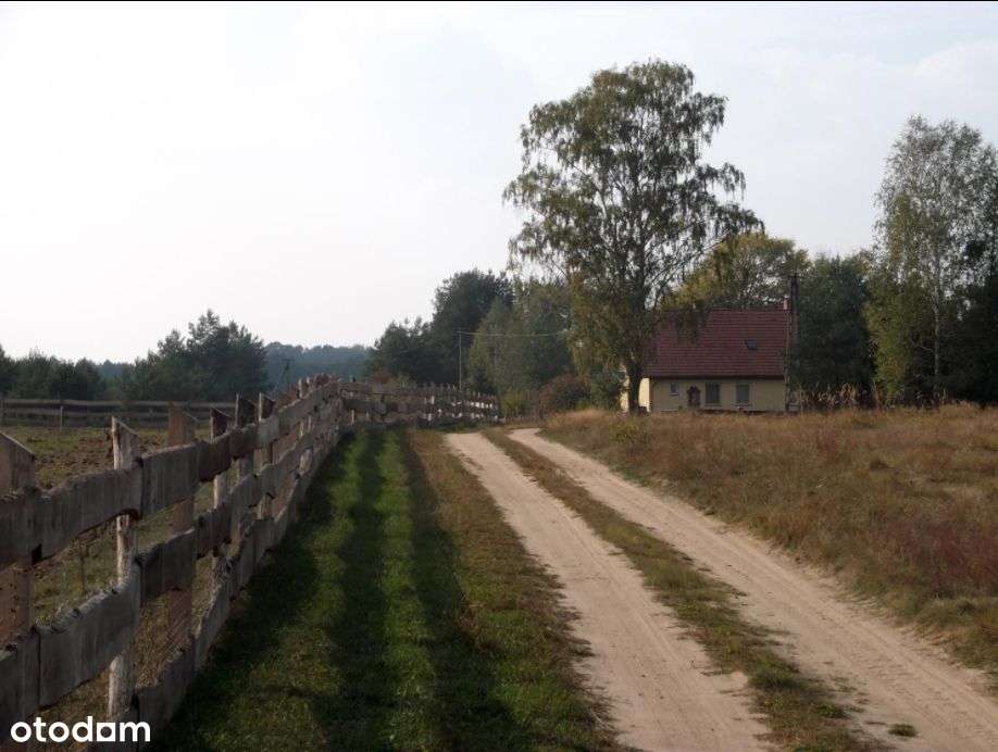 Pąchy działka budowlana z lasem - Pełny obrazek: 5/10