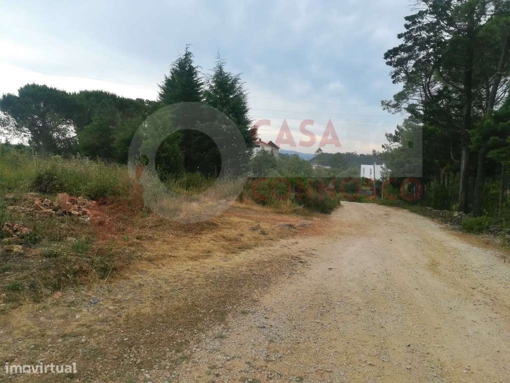 Terreno com 5972 m2 para construção - Grande imagem: 3/4