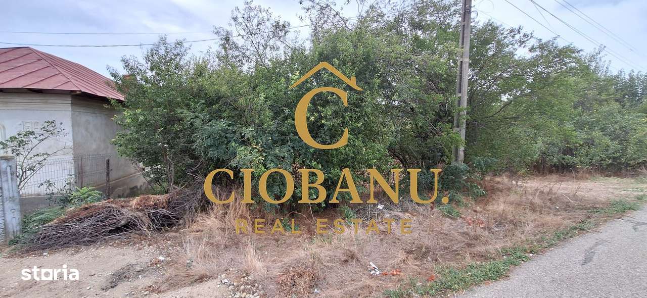 Teren Intravilan/Extravilan de vanzare in Bradestii Batrani-3