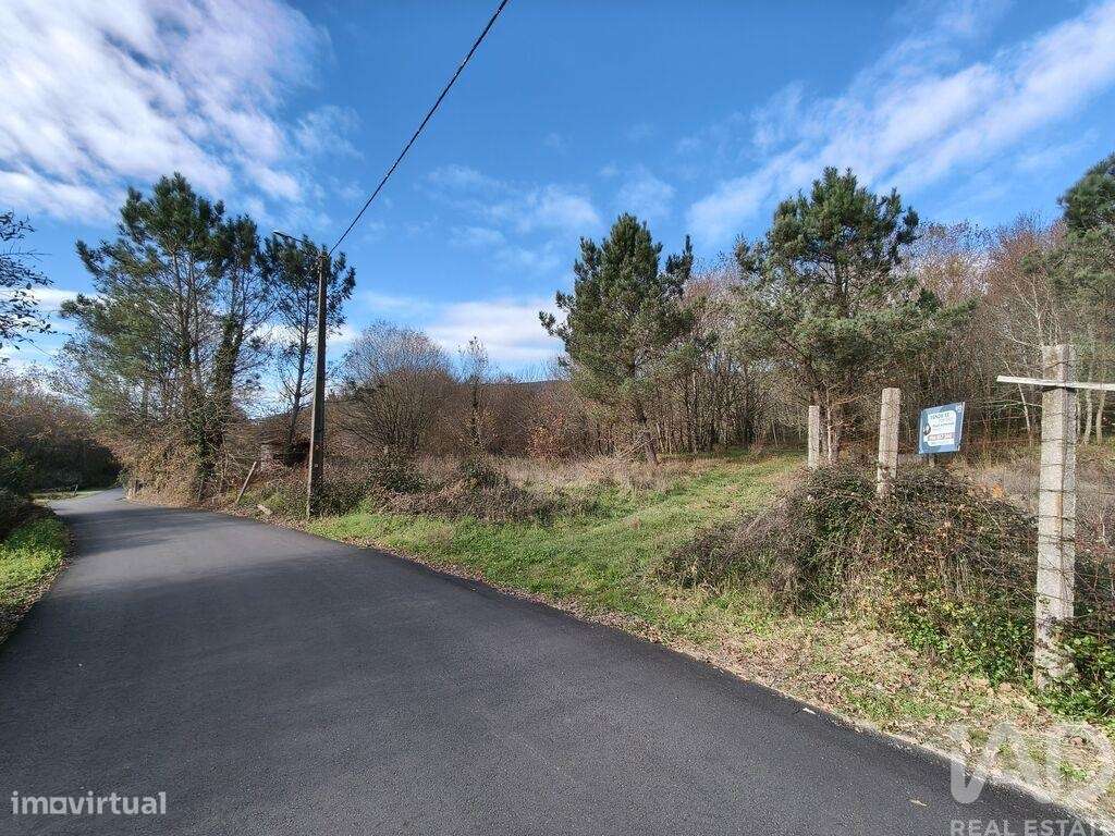 Terreno Agrícola em Covas - Grande imagem: 4/17