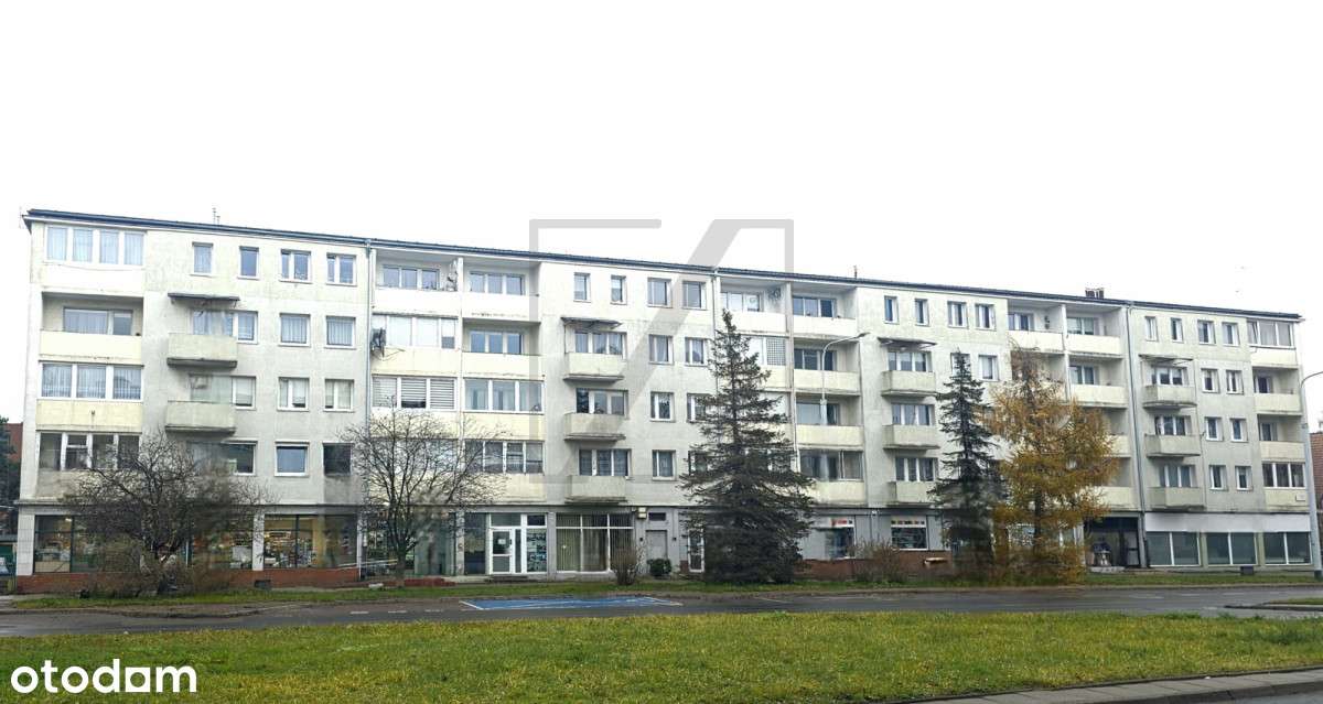 Dzień pokazowy tylko 13 grudnia (sobota)-3