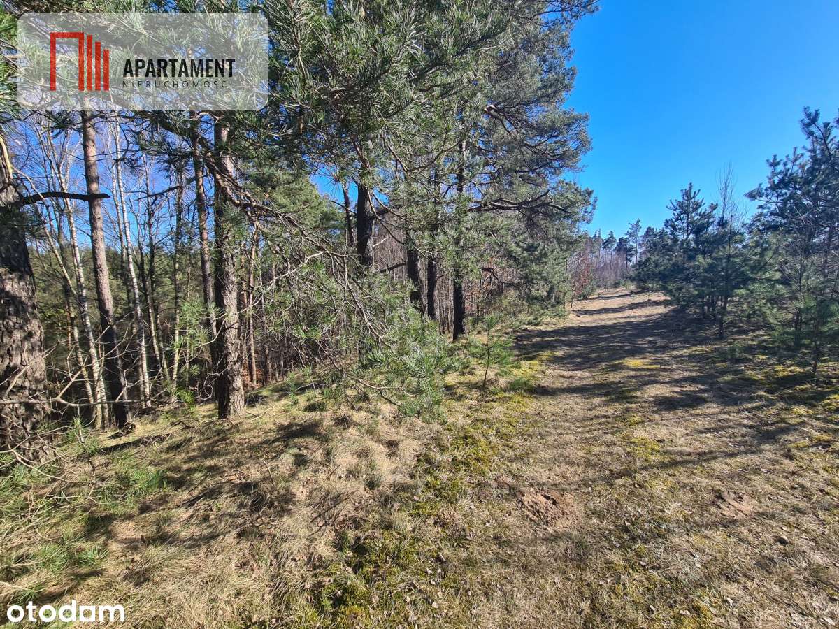 Przedsprzedaż! Działka budowlana w Stężycy!! - Pełny obrazek: 4/6