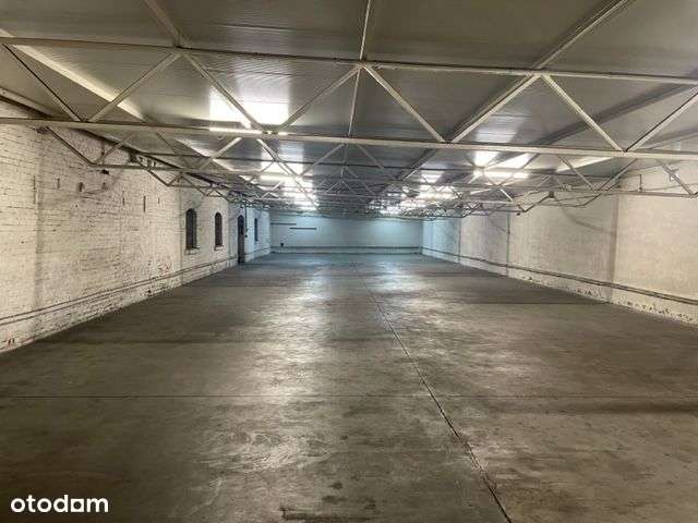 Magazyn 361m ,336m ,510m , plac - Pełny obrazek: 3/5