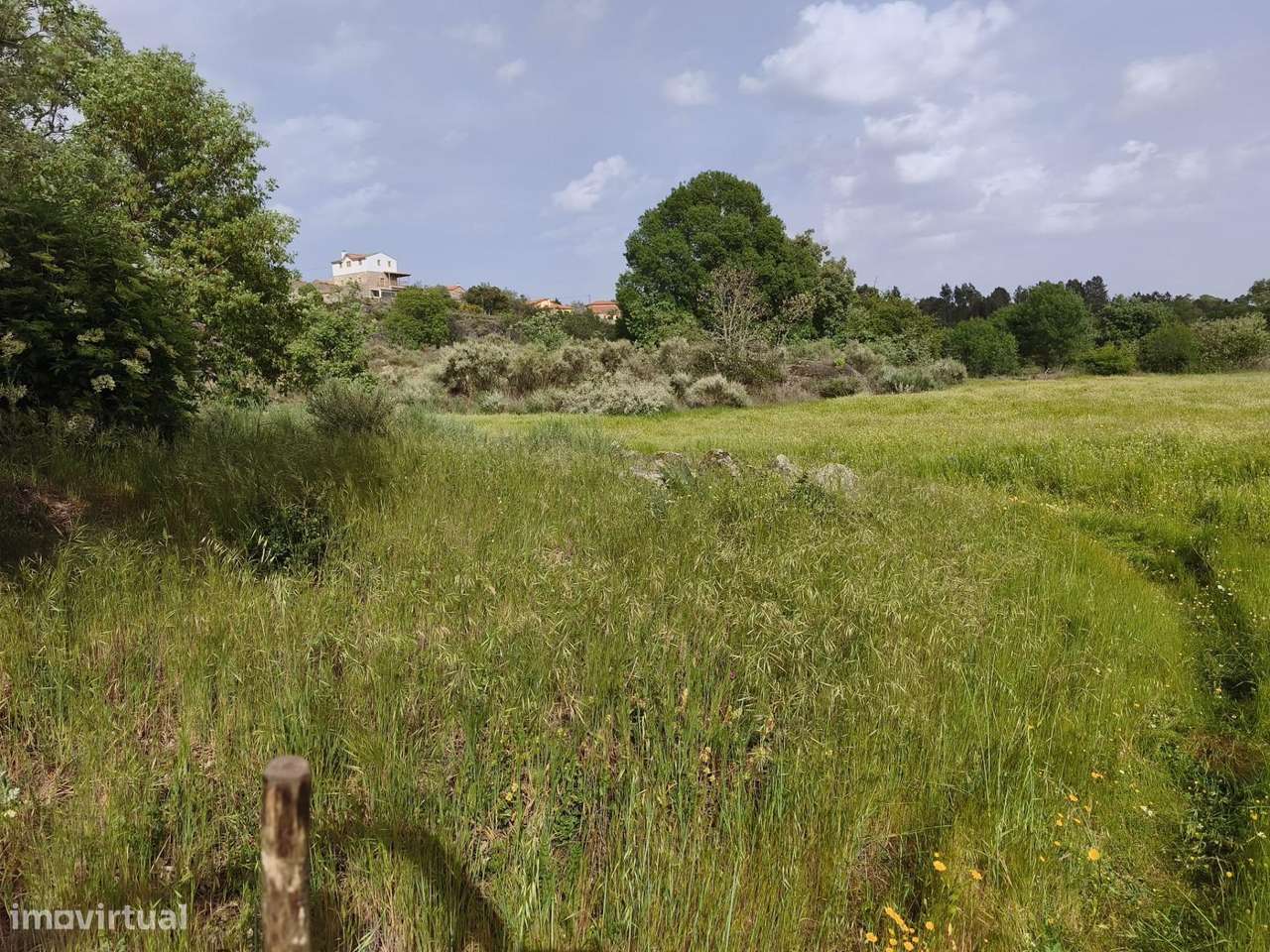 Terreno rustico em castanheira de baixo Peraboa-6
