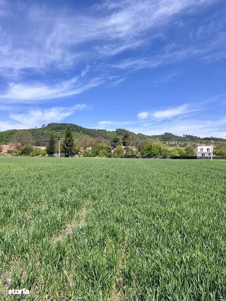 Teren de vânzare intravilan Brașov/Zarnesti - Imagine principală: 3/7