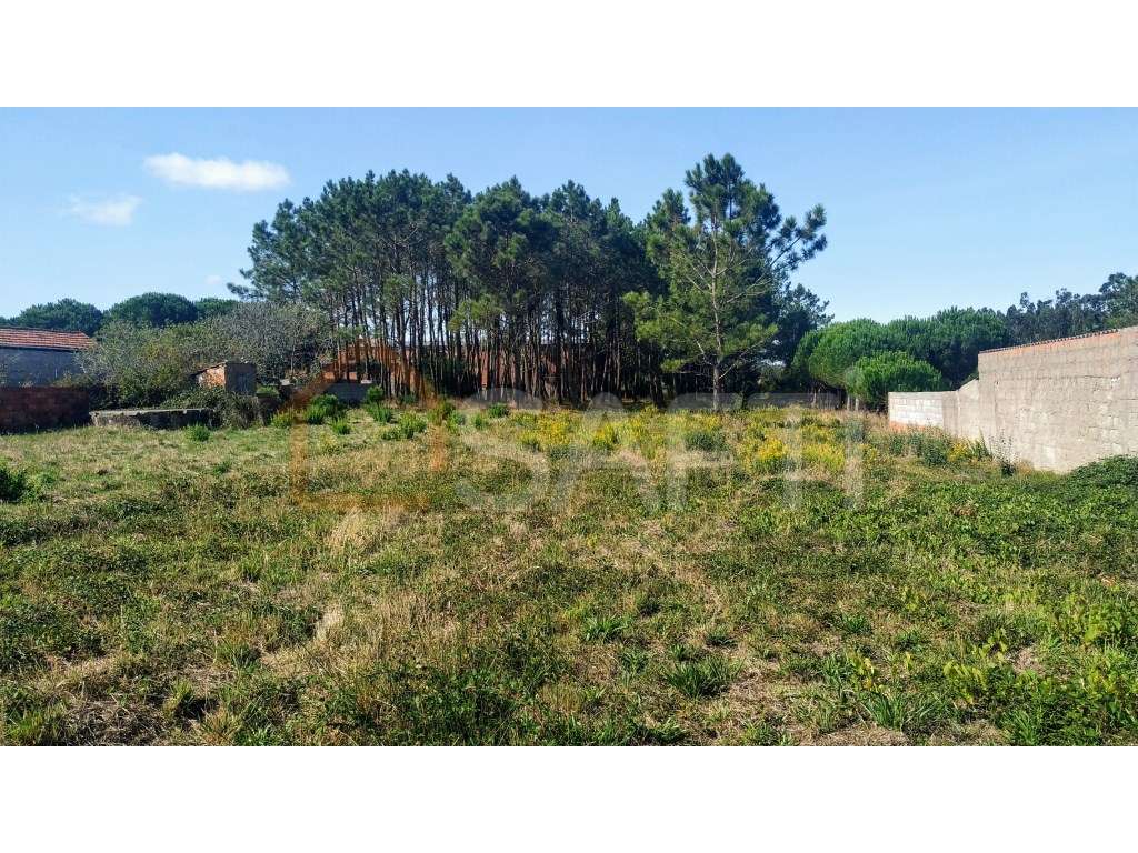 Terreno plano para construção - Grande imagem: 4/15