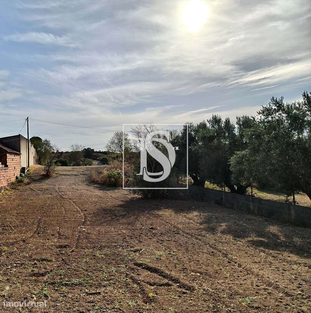 Moradia para restaurar com terreno de 1680m2 em Olaia e Paço/Santarém - Grande imagem: 4/11