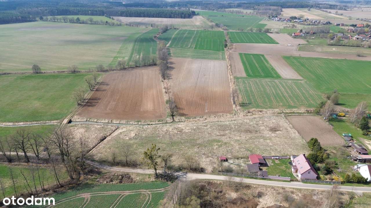 Atrakcyjna działka – 0,93 ha | Czatkowice, blisko Milicza-4
