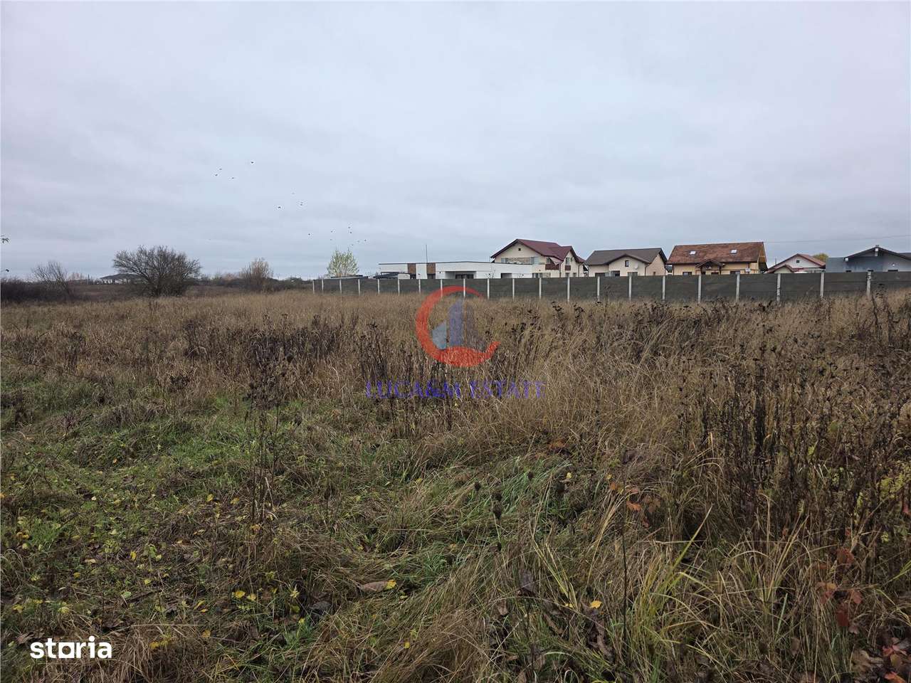 Teren intravilan de vânzare – Albina, Timis – 759 mp-1