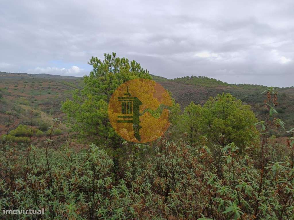 TERRENO COM 60.200 M2 - COM POSSIBILIDADE DE CONSTRUÇÃO - MORADIA -... - Grande imagem: 4/17