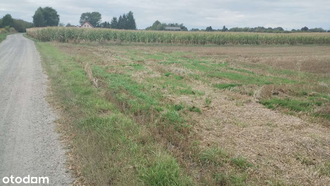 Działka budowlano-rolna nr 198/1, Trębaczów, Gmina Łęczna, 1,02 ha - Pełny obrazek: 4/8