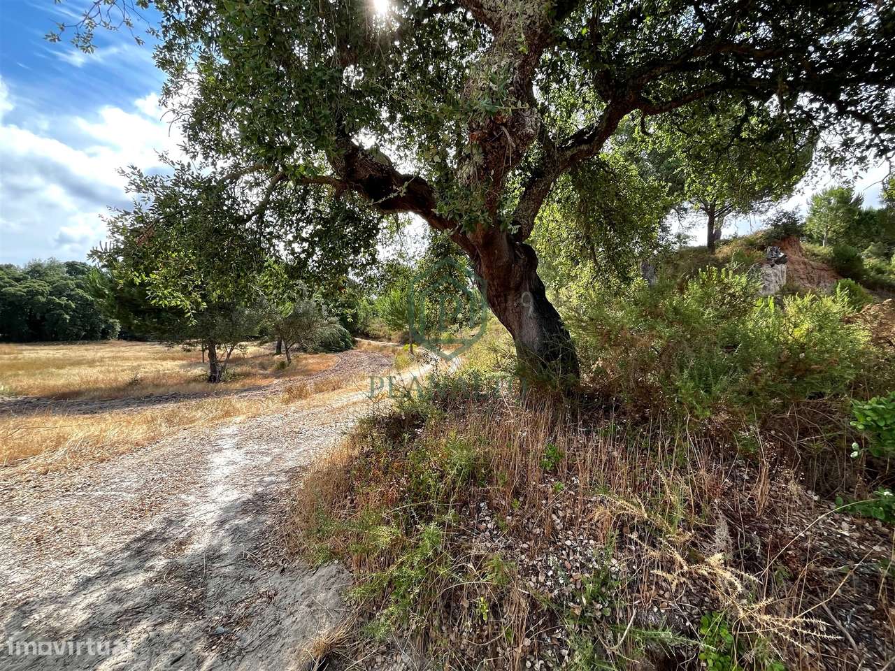 Quinta >=T10 Venda em Cortiçadas de Lavre e Lavre,Montemor-o-Novo-16