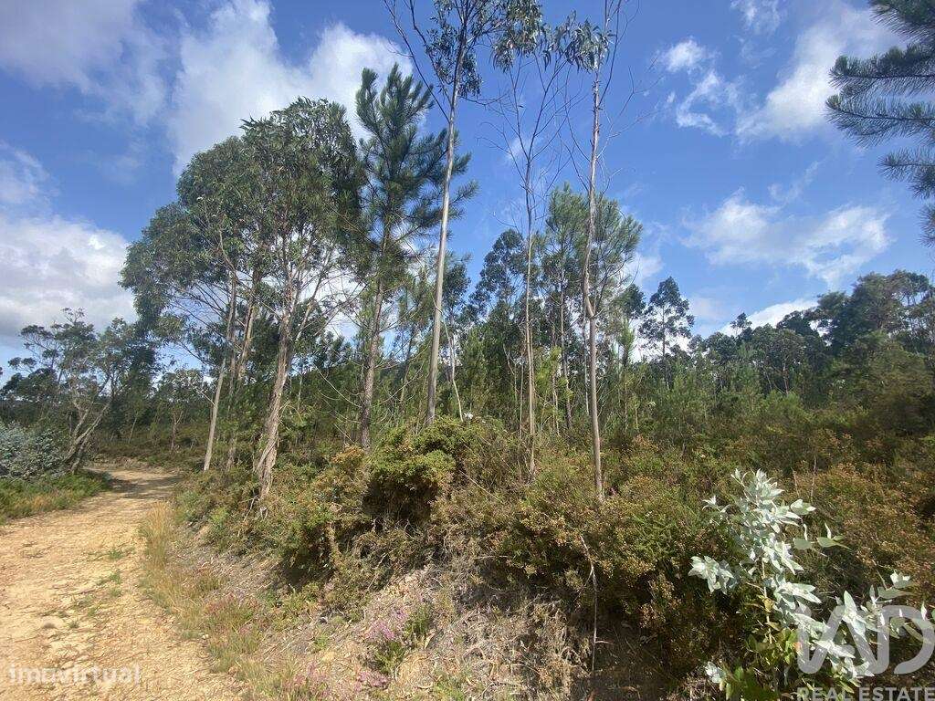 Terreno para construção em Sopo de 5000,00 m2 - Grande imagem: 3/23