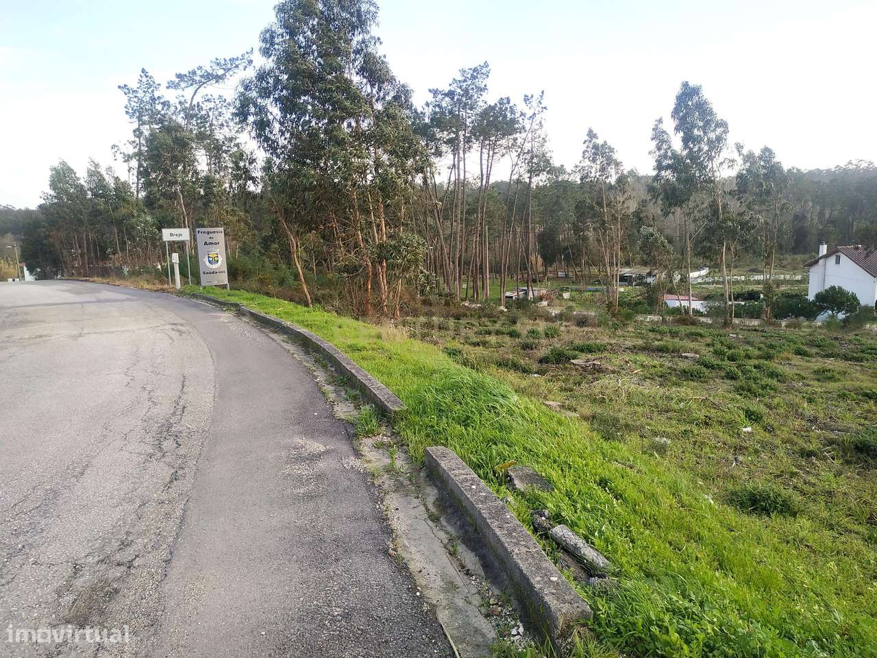 Terreno rústico || Viabilidade de construção moradias || 857m2 || Amor - Grande imagem: 3/11