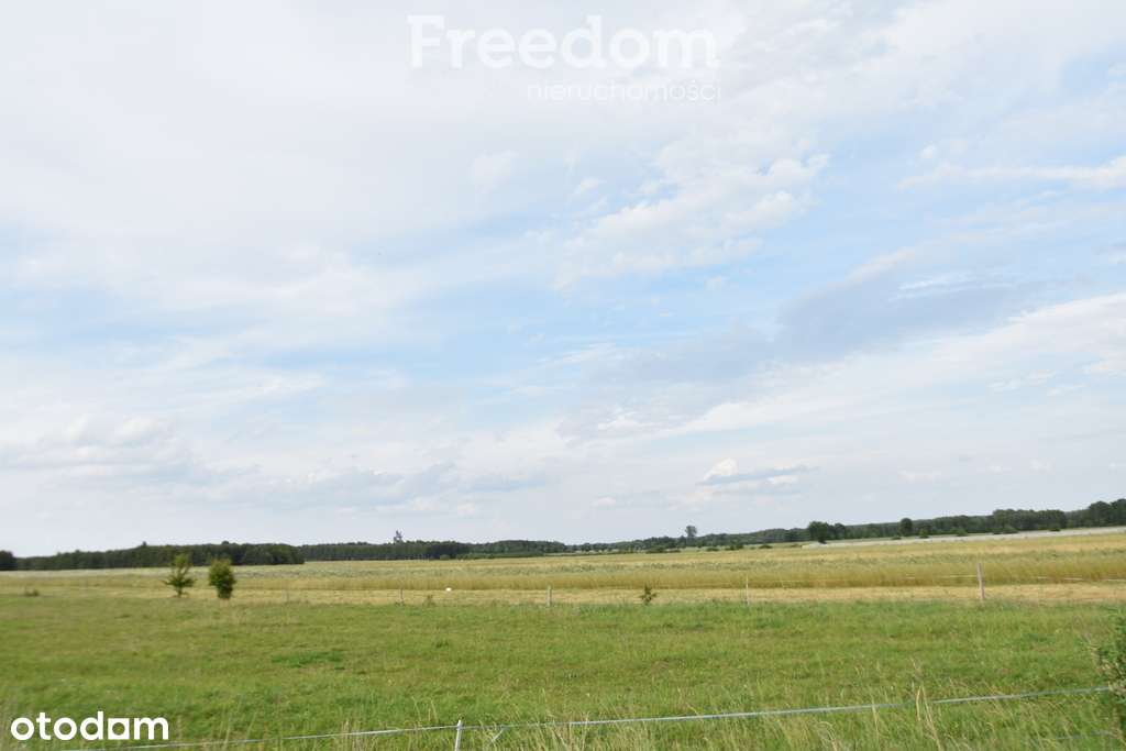 Działka na sprzedaż. - Pełny obrazek: 4/5