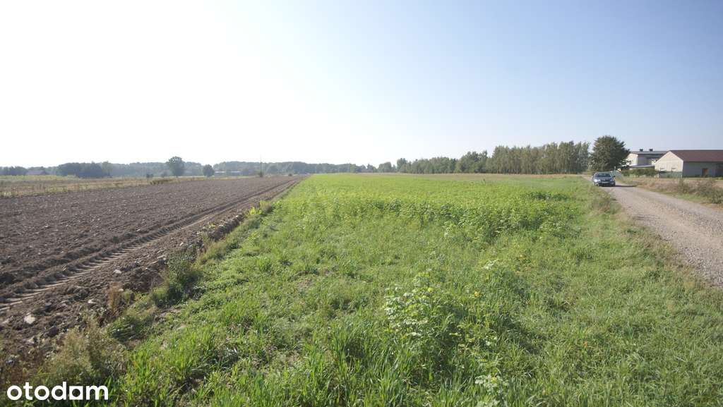 Działka rolno budowlana 96a Rudka Gołębska - Pełny obrazek: 4/13